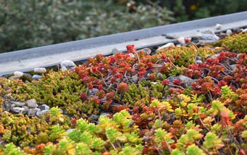 the cost of Glenburn green roof installation