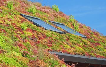 Glenburn living roof systems