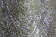 Glenburn fibreglass roof work